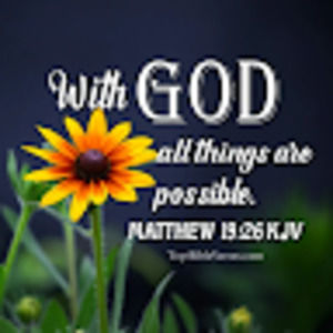 Meet your Posher, Dorothy